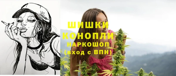 винт Арсеньев